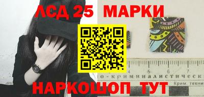 шишки Гатчина