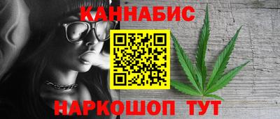 шишки Гатчина