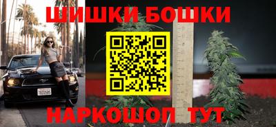 шишки Гатчина