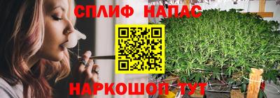 шишки Гатчина